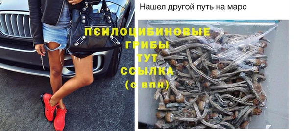 трава Баксан