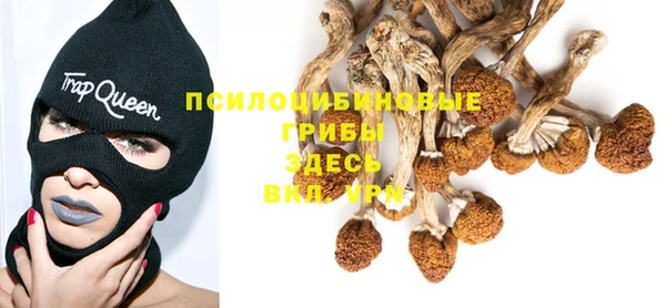 трава Баксан