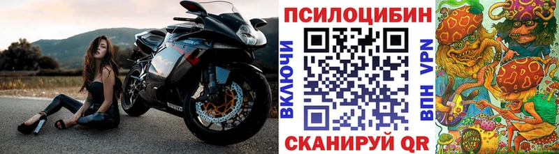 Галлюциногенные грибы Magic Shrooms  продажа наркотиков  ОМГ ОМГ маркетплейс  Плёс 