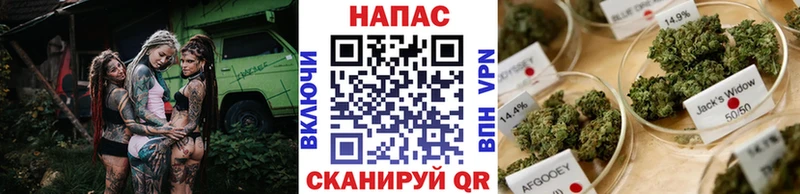 Конопля конопля  даркнет сайт  Плёс 
